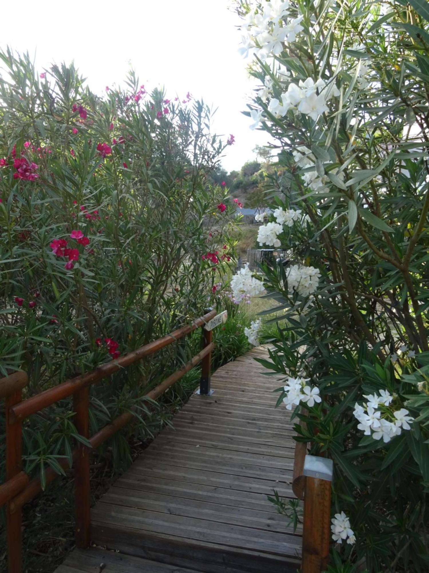 Les Ecrins D'aix-en-provence Holiday home