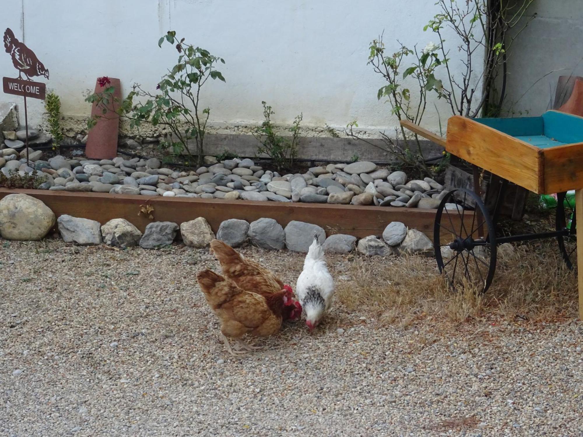 Holiday home Les Ecrins D'aix-en-provence